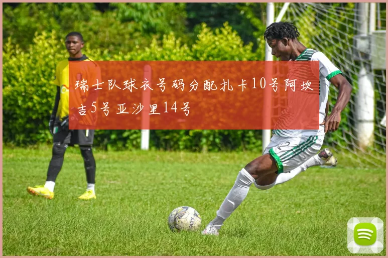 瑞士队球衣号码分配扎卡10号阿坎吉5号亚沙里14号